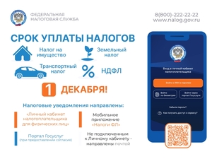 А6 Листовка 1 декабря_page-0001.jpg А6 Листовка 1 декабря_page-0001.jpg